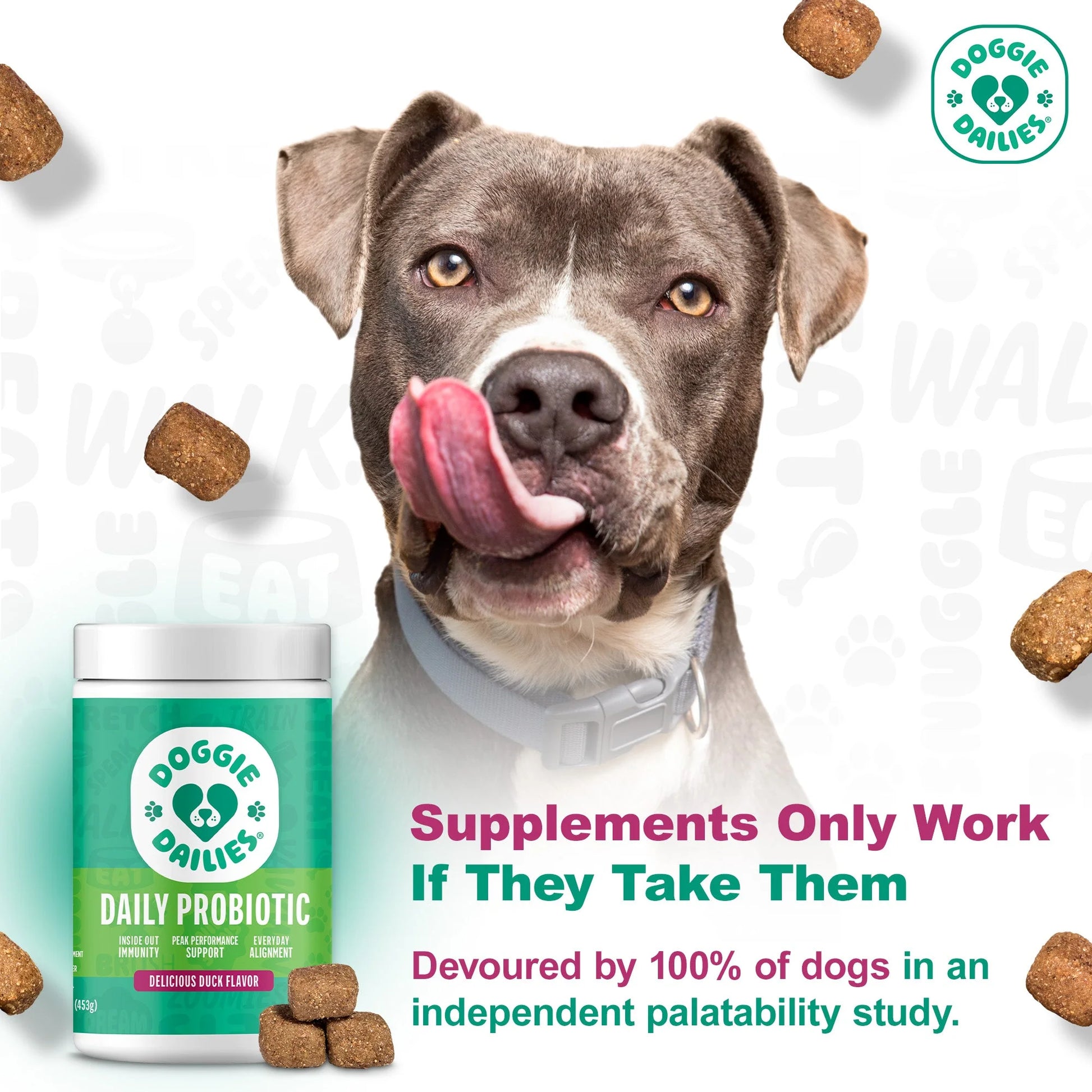 Advanced Probiotics Supplement for Dogs