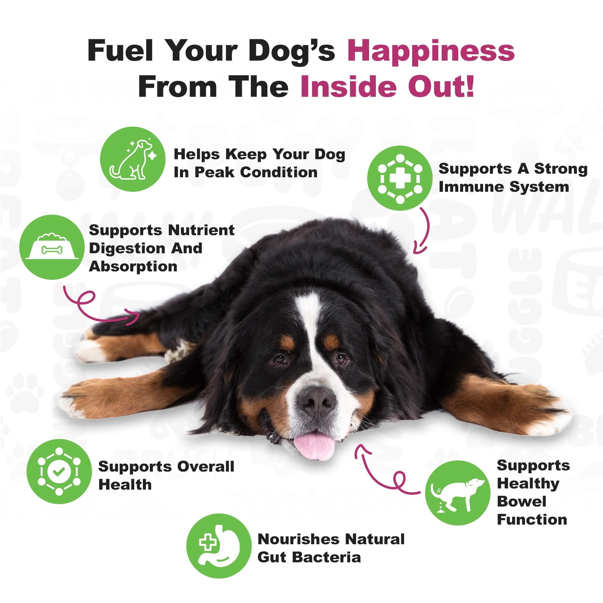 Advanced Probiotics Supplement for Dogs