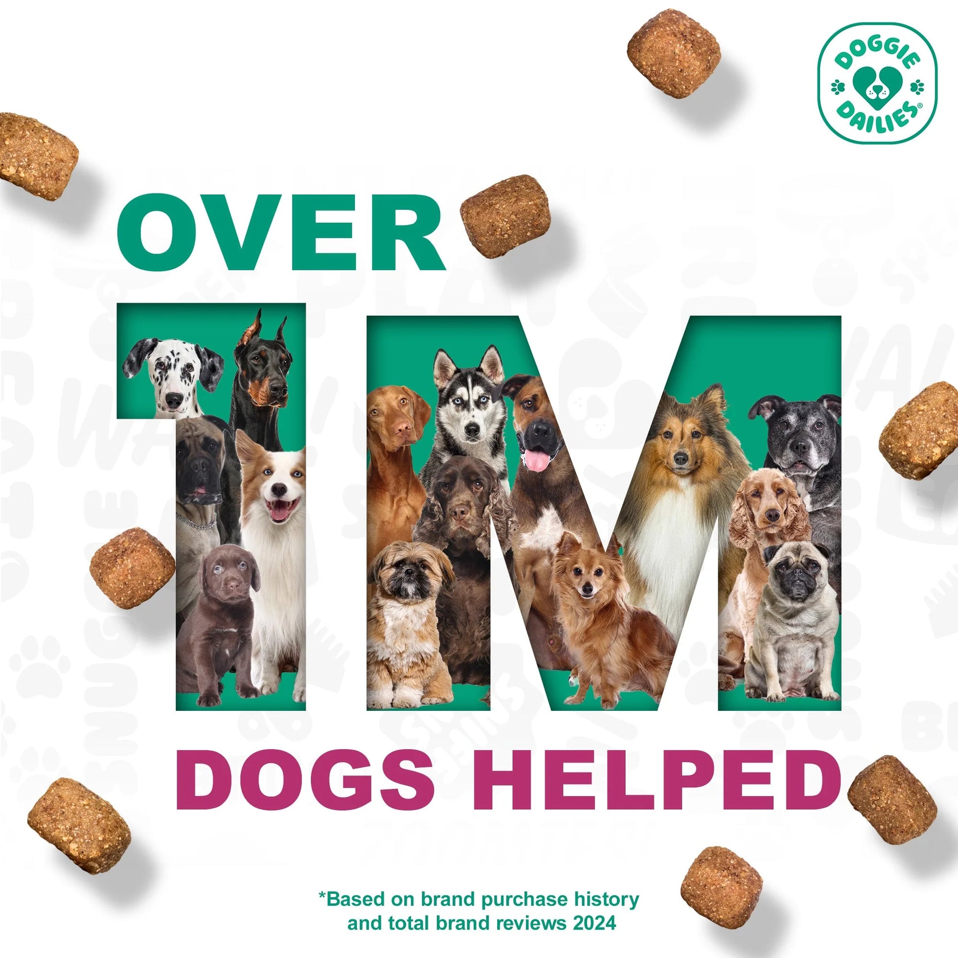 Advanced Probiotics Supplement for Dogs