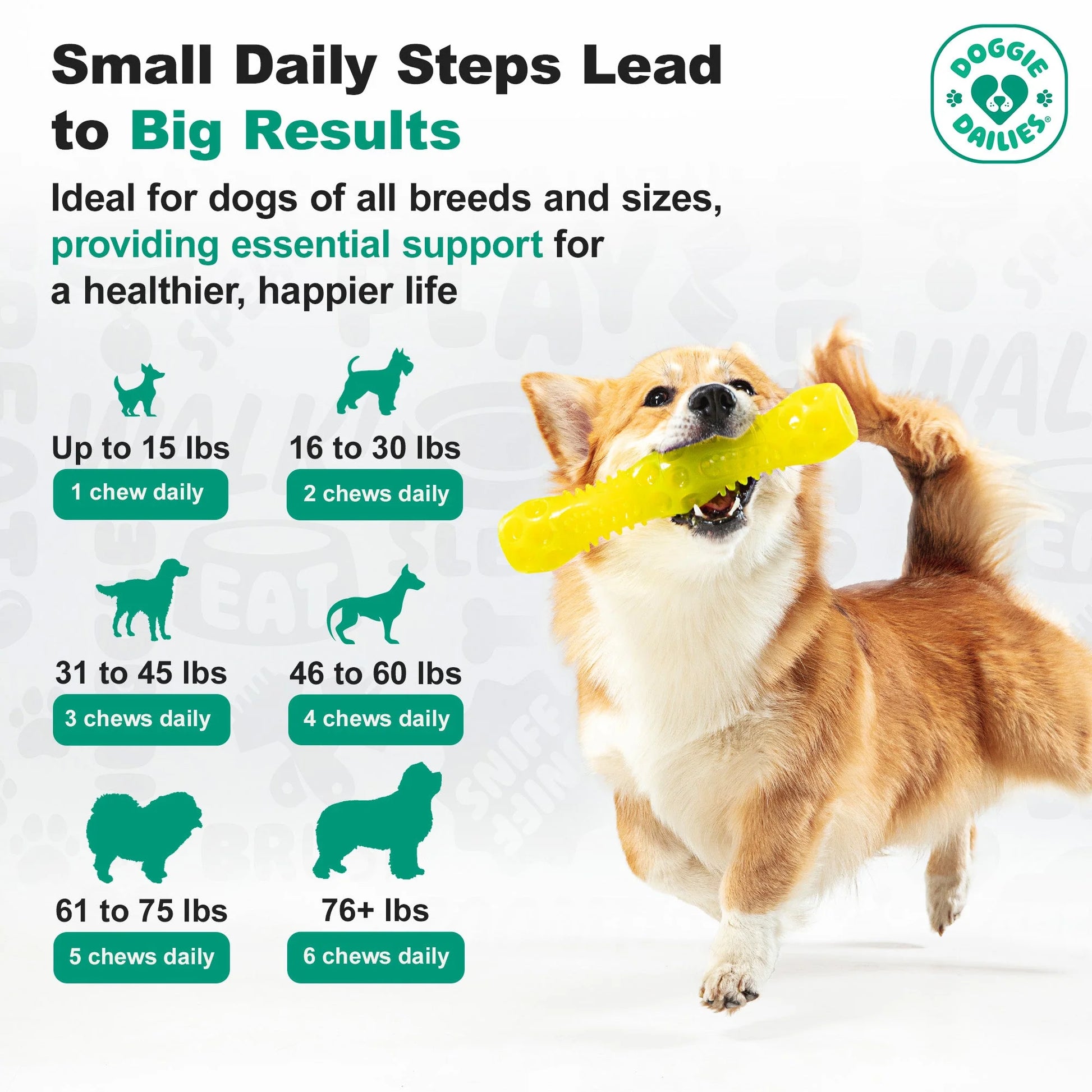 Advanced Probiotics Supplement for Dogs